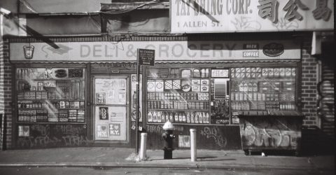 Manhattan/Chinatown, VIII