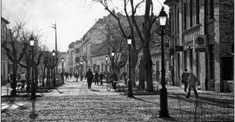 Pedestrians Kingdom