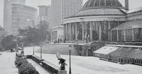 Snow and Botanique.