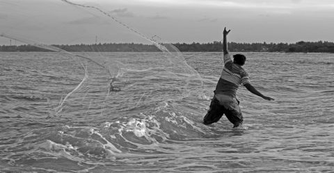 catch fish