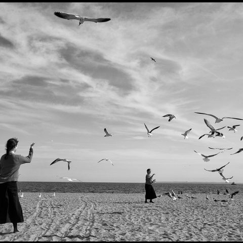 Coney Island, NYC