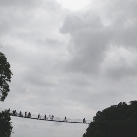 Cycling over the suspension bridge