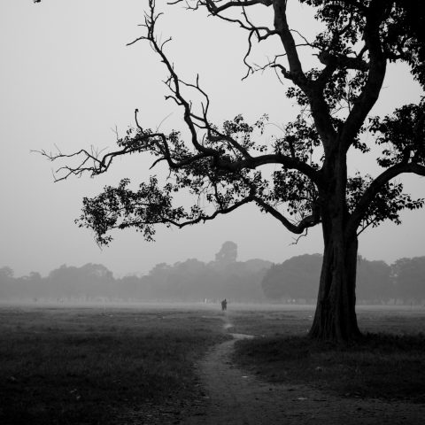 Wintry mornings