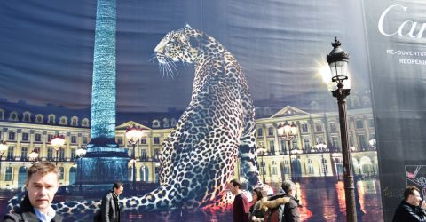 It’s a leppard’s avenue.