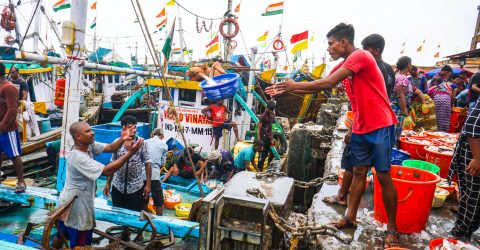 Fish Market