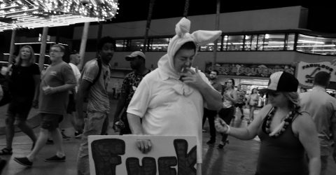 Bunny