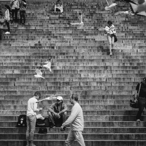 Stairs with life