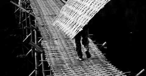 bamboo bridge