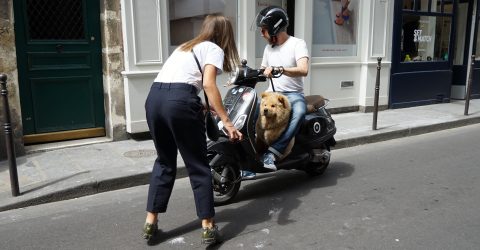 A special riding pillion