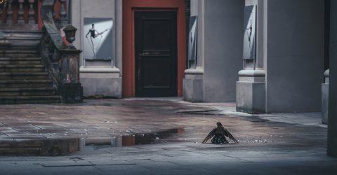 Murder on a courtyard 1