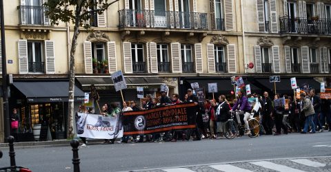 Animalist march in Paris