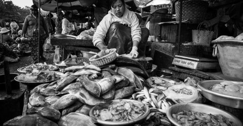 Living in Bazar