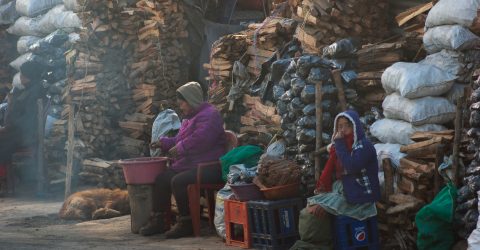 Life in the market