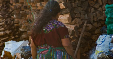 The wood seller