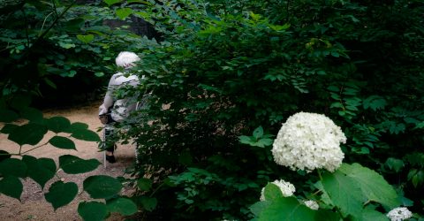 Bothanical Garden