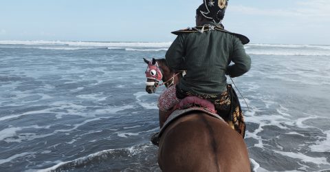 long horse