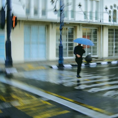 panning umbrella