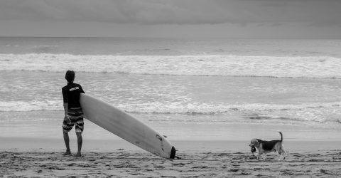 Surf’s Up