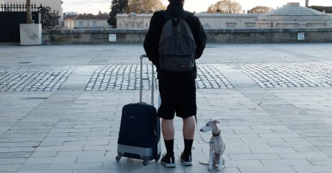 La croix , l’enfant et son chien