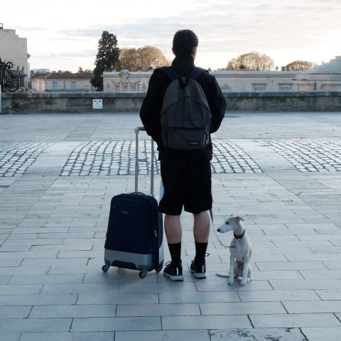 La croix , l’enfant et son chien