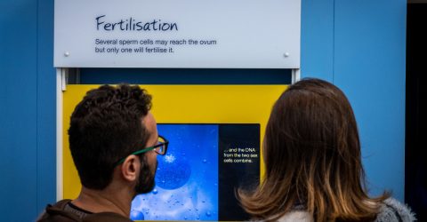 Sex Education