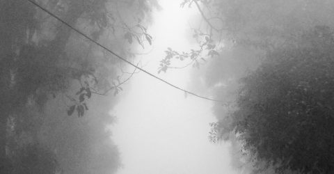 Into the Dream Land