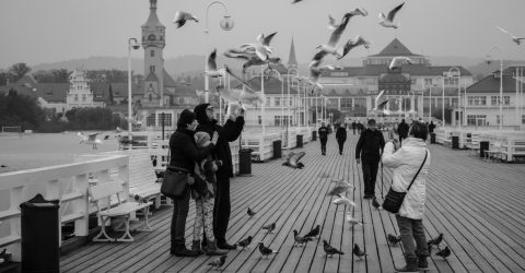 Jonathan Livingston Seagull (Richard Bach)