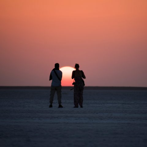 Desert Sunset