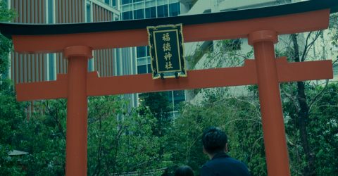 Torii Gate