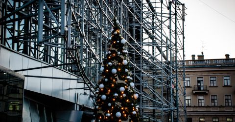 Festive contrast