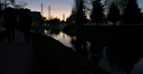 Reflexos