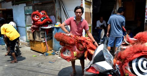 Drying the Lion