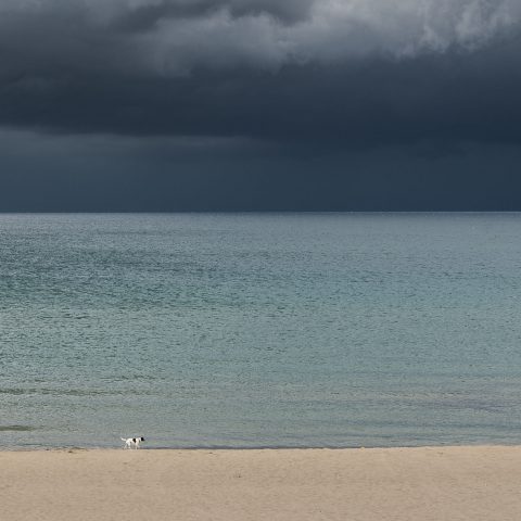 Jimmy e la Tempesta