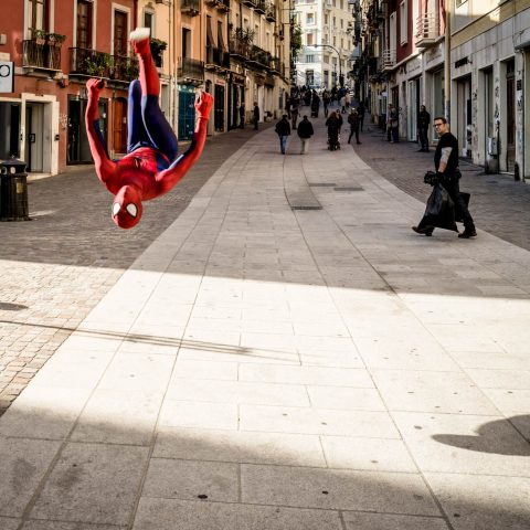 Spider Man is back in town