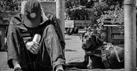 One beer and a dog
