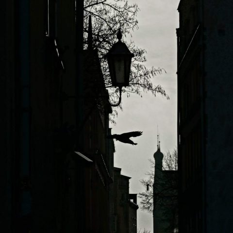 Odlot