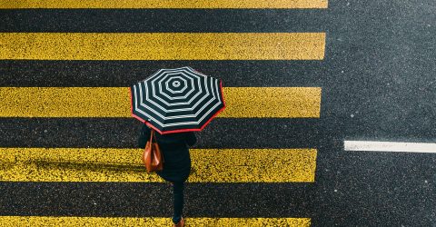 Umbrella
