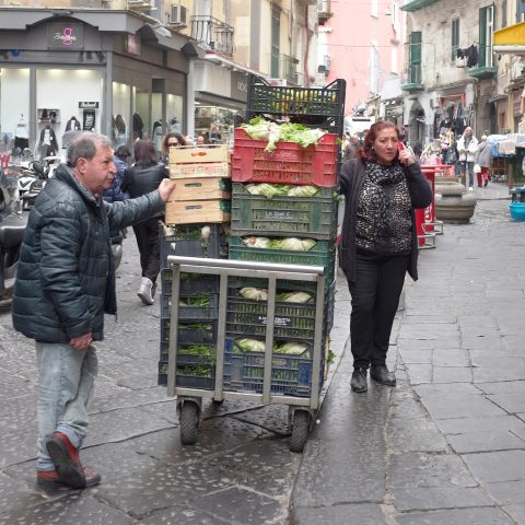 Bringing fruit to sell at the market