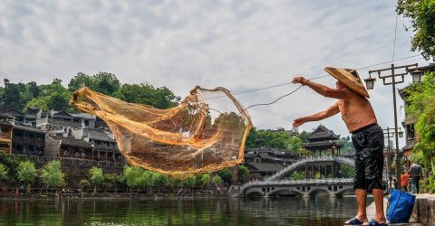 Living Tradition