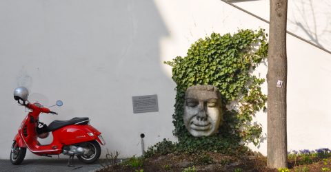 In the sity of Passau