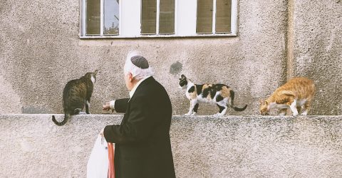 Co-Sharing Kosher