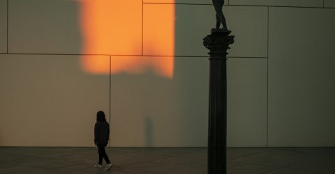 The Walk