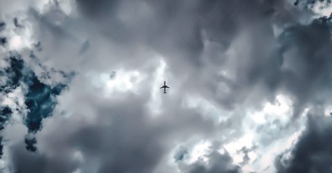 Free to fly
