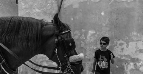 The blinkers