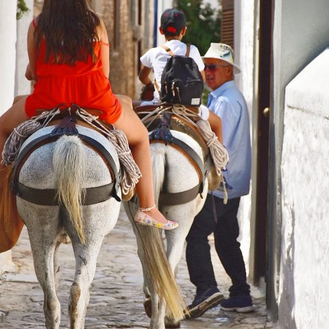 Riding donkeys at Hydra island