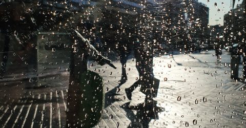 After the rain