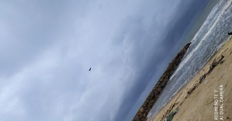 The unique meeting of sea and sky