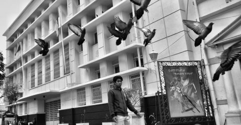 Free as A bird