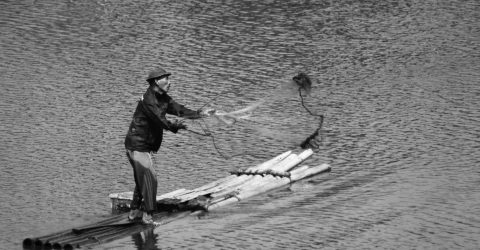 Catching Fish