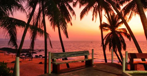 The wonders of Nature Sunset